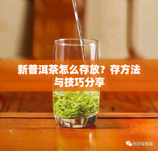 新普洱茶怎么存放？存方法与技巧分享