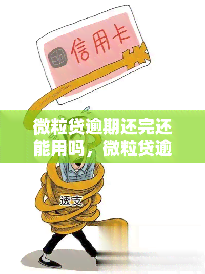 微粒贷逾期还完还能用吗，微粒贷逾期还款后是否可以继续使用？答案在这里！