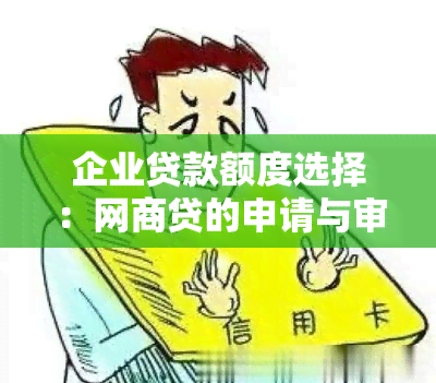 企业贷款额度选择：网商贷的申请与审批流程详解