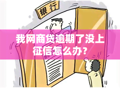 我网商贷逾期了没上怎么办？