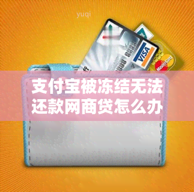 支付宝被冻结无法还款网商贷怎么办？全面解决方案助您解决困境