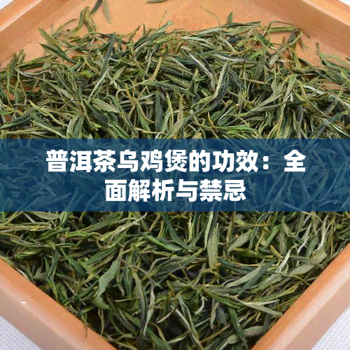 普洱茶乌鸡煲的功效：全面解析与禁忌