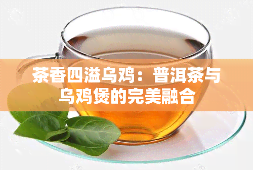 茶香四溢乌鸡：普洱茶与乌鸡煲的完美融合