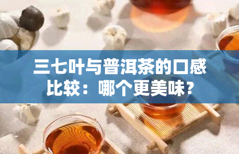 三七叶与普洱茶的口感比较：哪个更美味？