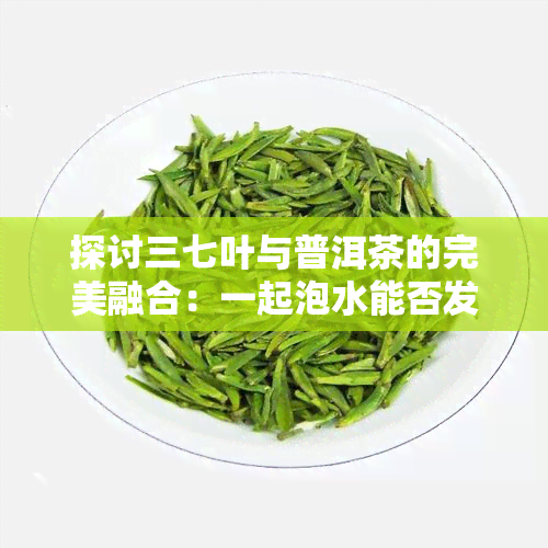 探讨三七叶与普洱茶的完美融合：一起泡水能否发挥功效？