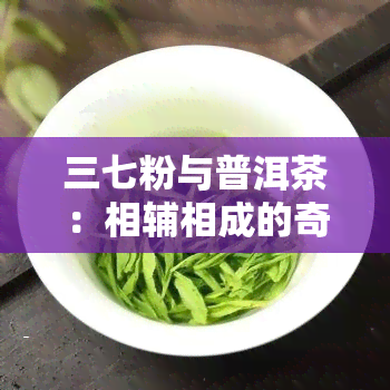 三七粉与普洱茶：相辅相成的奇妙搭配还是潜在冲突？探讨二者的和谐共饮