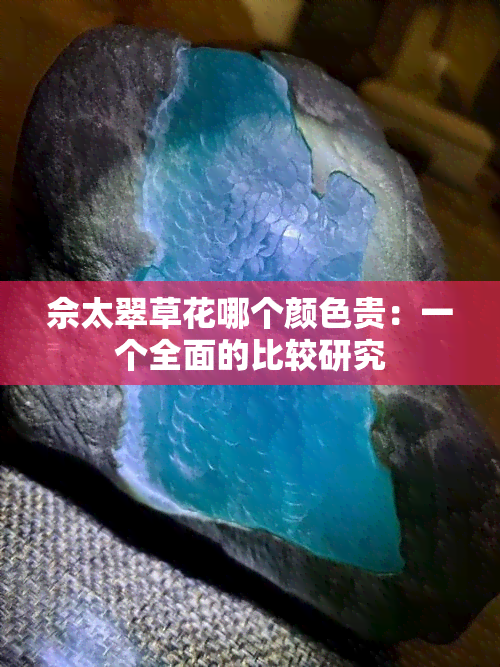 佘太翠草花哪个颜色贵：一个全面的比较研究