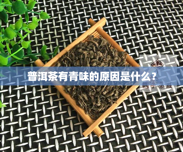 普洱茶有青味的原因是什么？