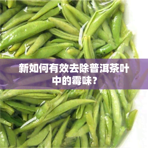 新如何有效去除普洱茶叶中的霉味？