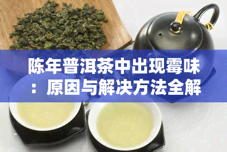 陈年普洱茶中出现霉味：原因与解决方法全解析