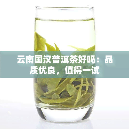 云南国汉普洱茶好吗：品质优良，值得一试