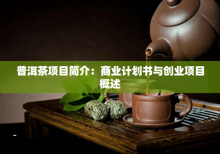 普洱茶项目简介：商业计划书与创业项目概述