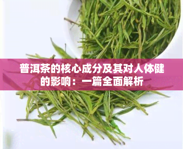 普洱茶的核心成分及其对人体健的影响：一篇全面解析