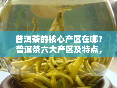 普洱茶的核心产区在哪？普洱茶六大产区及特点，3大产区的详细介绍。