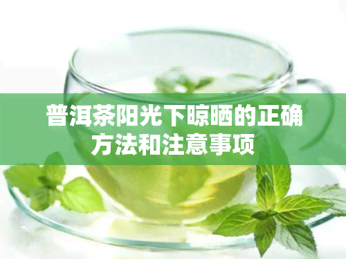 普洱茶阳光下晾晒的正确方法和注意事项