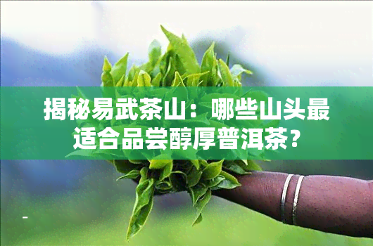 揭秘易武茶山：哪些山头最适合品尝醇厚普洱茶？