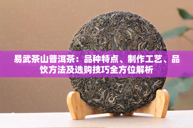 易武茶山普洱茶：品种特点、制作工艺、品饮方法及选购技巧全方位解析