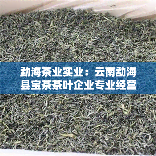 勐海茶业实业：云南勐海县宝茶茶叶企业专业经营普洱茶