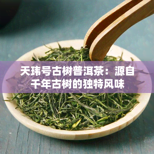 天玮号古树普洱茶：源自千年古树的独特风味