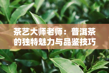 茶艺大师老师：普洱茶的独特魅力与品鉴技巧