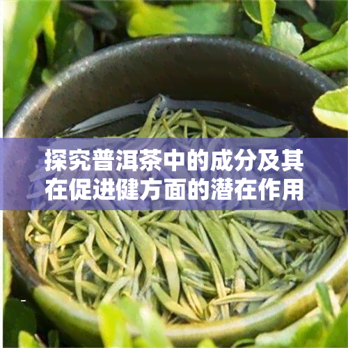 探究普洱茶中的成分及其在促进健方面的潜在作用