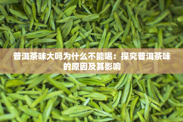 普洱茶味大吗为什么不能喝：探究普洱茶味的原因及其影响