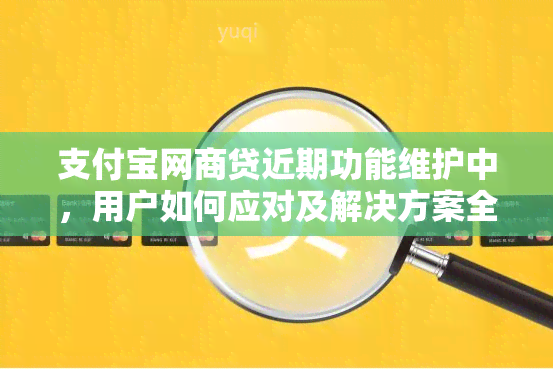 支付宝网商贷近期功能维护中，用户如何应对及解决方案全面解析