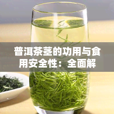 普洱茶茎的功用与食用安全性：全面解析及其适用人群