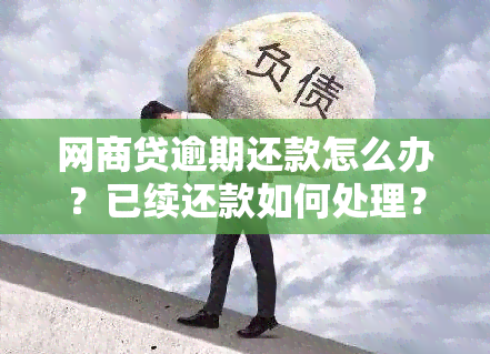 网商贷逾期还款怎么办？已续还款如何处理？