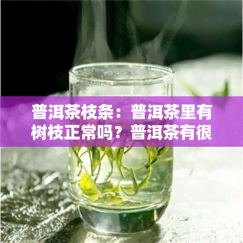 普洱茶枝条：普洱茶里有树枝正常吗？普洱茶有很多茶枝。