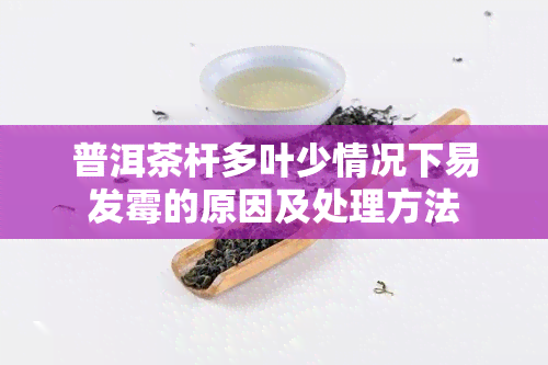 普洱茶杆多叶少情况下易发霉的原因及处理方法