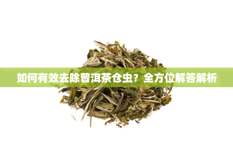 如何有效去除普洱茶仓虫？全方位解答解析