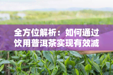 全方位解析：如何通过饮用普洱茶实现有效减脂？