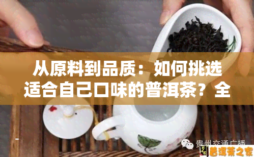 从原料到品质：如何挑选适合自己口味的普洱茶？全面解析选购步骤与要点