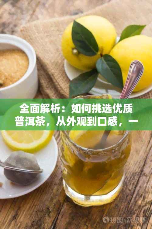 全面解析：如何挑选优质普洱茶，从外观到口感，一次搞定！