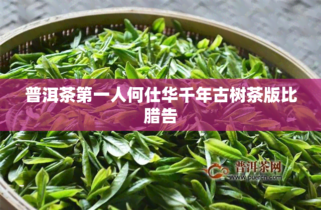 普洱茶之一人何仕华千年古树茶版比腊告