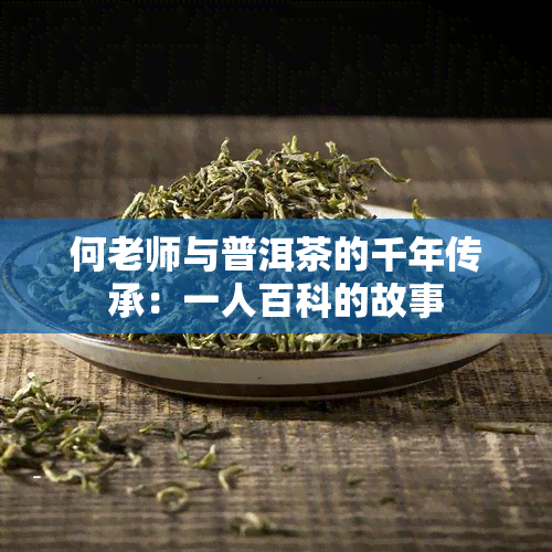 何老师与普洱茶的千年传承：一人百科的故事