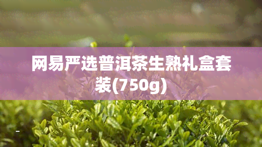 网易严选普洱茶生熟礼盒套装(750g)