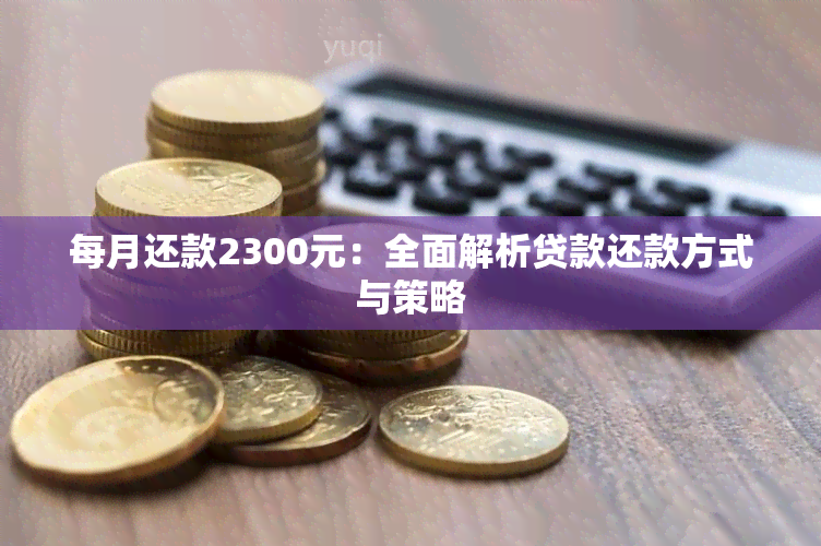 每月还款2300元：全面解析贷款还款方式与策略