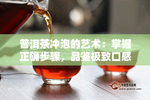 普洱茶冲泡的艺术：掌握正确步骤，品鉴极致口感