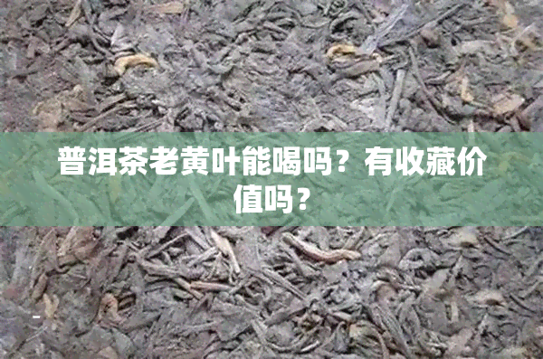 普洱茶老黄叶能喝吗？有收藏价值吗？