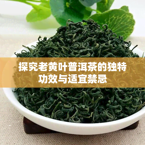 探究老黄叶普洱茶的独特功效与适宜禁忌