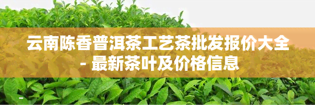 云南陈香普洱茶工艺茶批发报价大全 - 最新茶叶及价格信息