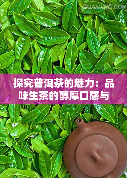 探究普洱茶的魅力：品味生茶的醇厚口感与独特风味