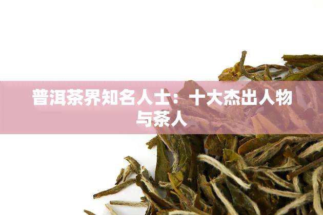 普洱茶界知名人士：十大杰出人物与茶人