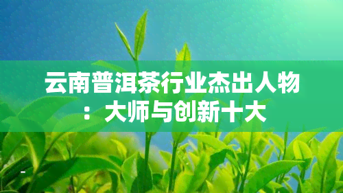 云南普洱茶行业杰出人物：大师与创新十大