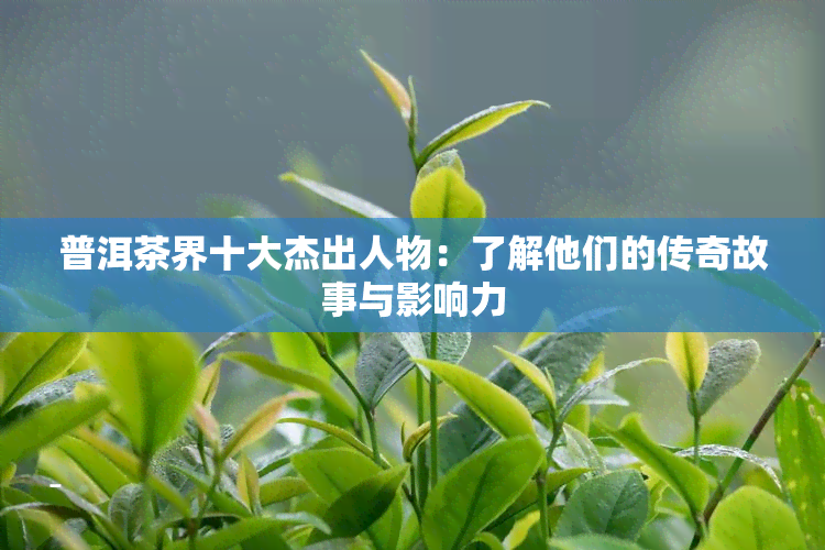 普洱茶界十大杰出人物：了解他们的传奇故事与影响力