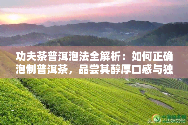 功夫茶普洱泡法全解析：如何正确泡制普洱茶，品尝其醇厚口感与独特风味