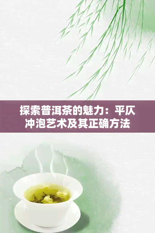 探索普洱茶的魅力：平仄冲泡艺术及其正确方法