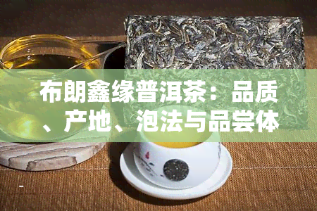 布朗鑫缘普洱茶：品质、产地、泡法与品尝体验详解，助您全面了解这款茶叶